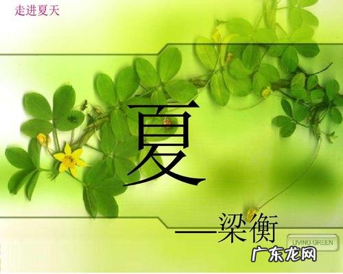 【抖音文案】夏天的特点有哪些优美句子