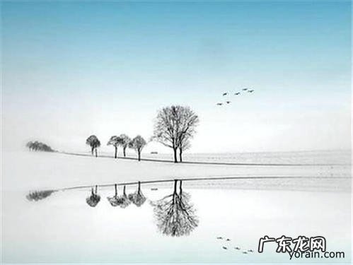 写环境清幽的唯美句子 【抖音文案】环境唯美简短的句子