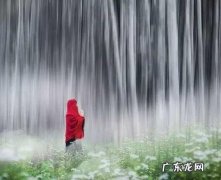 风决定要走的感悟诗句 【抖音文案】风决定要走的感悟