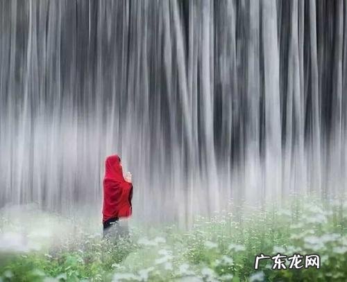 风决定要走的感悟诗句 【抖音文案】风决定要走的感悟