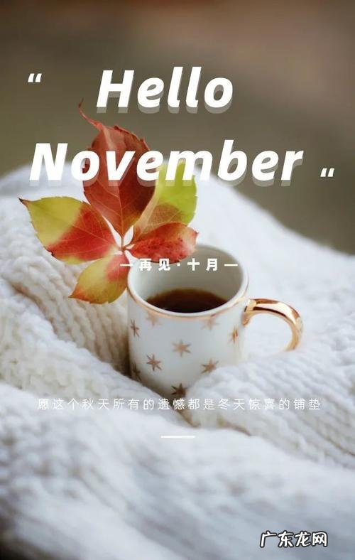 十一月的句子短句唯美 【抖音文案】十一月短句唯美
