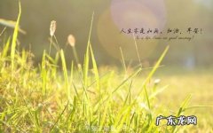 出去玩开心的经典句子 【抖音文案】开心的经典句子