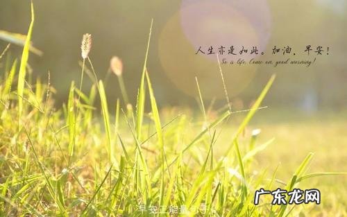 出去玩开心的经典句子 【抖音文案】开心的经典句子