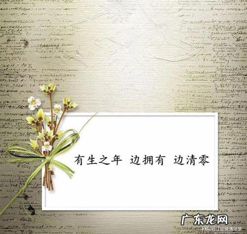 追求女人感动的句子 【抖音文案】最感动人的句子