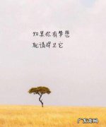 生我养我地方的好句子发朋友圈 【抖音文案】好句子发朋友圈