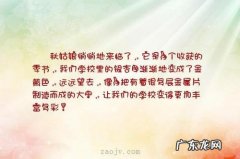 【抖音文案】夸一个地方好的句子