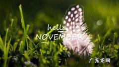 形容十一月的美好句子 【抖音文案】关于十一月的句子