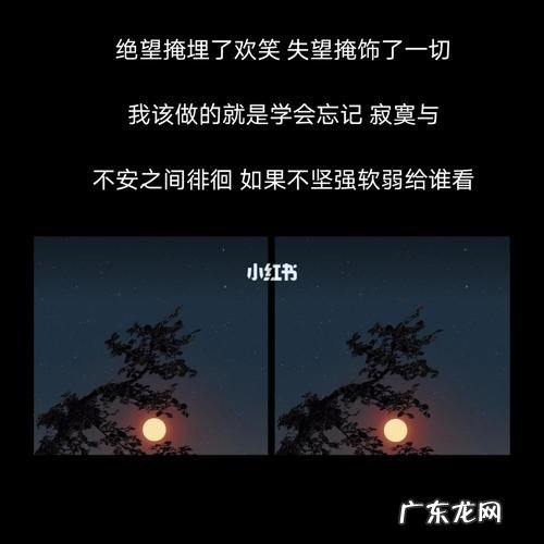 深夜适合发朋友圈感慨的句子 【抖音文案】适合深夜感慨的句子