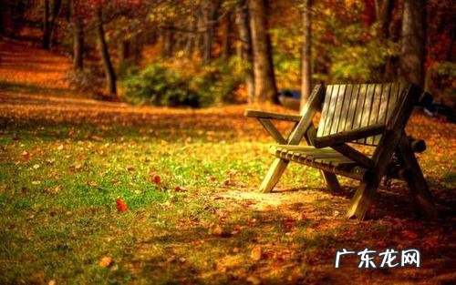 描写秋天景色优美句子100字 【抖音文案】描写秋天的句子景色50字