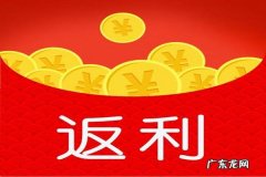 淘宝联盟返利规则是怎样的？淘宝联盟返利规则解读