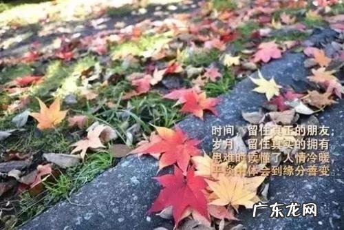 形容下雨天心情好的句子 【抖音文案】一句话形容心情好的句子