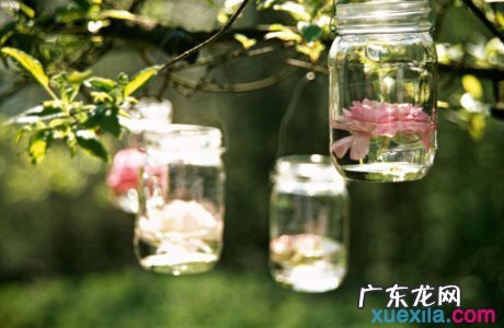 秋天描写心情的句子短句唯美 【抖音文案】心情的句子唯美短句