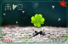 摘抄优美句子50字左右 【抖音文案】优美的句子15字左右