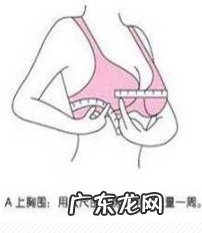 文胸尺码对照表标准版 胸罩怎么量尺码