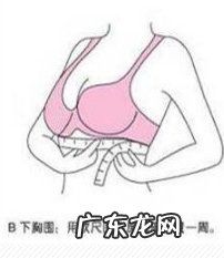 文胸尺码对照表标准版 胸罩怎么量尺码