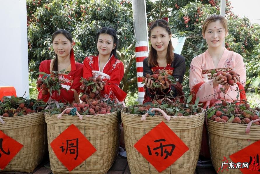 E网兴农:去年5月开始,广东促进农产品电商销售近4000亿元