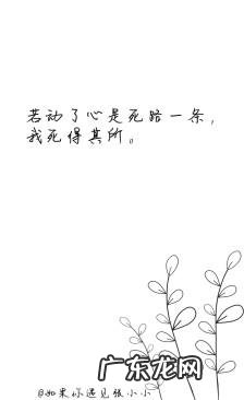 关于努力的励志句子长句 【抖音文案】励志的句子致自己长句