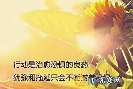 女人努力工作正能量的句子 【抖音文案】努力工作正能量句子励志短句子