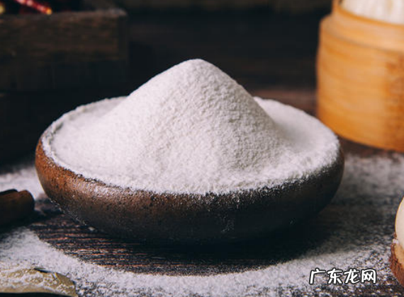 小狗前腿一只轻微瘸腿