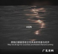 孤独与成长的励志句子 【抖音文案】孤独伤感励志的句子