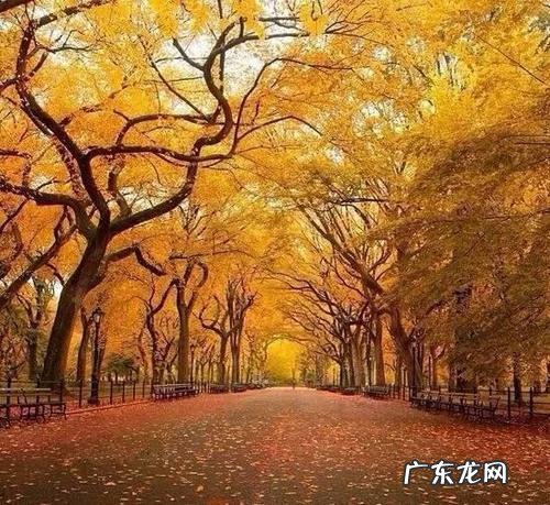 【抖音文案】一路风景一路行下一句是什么