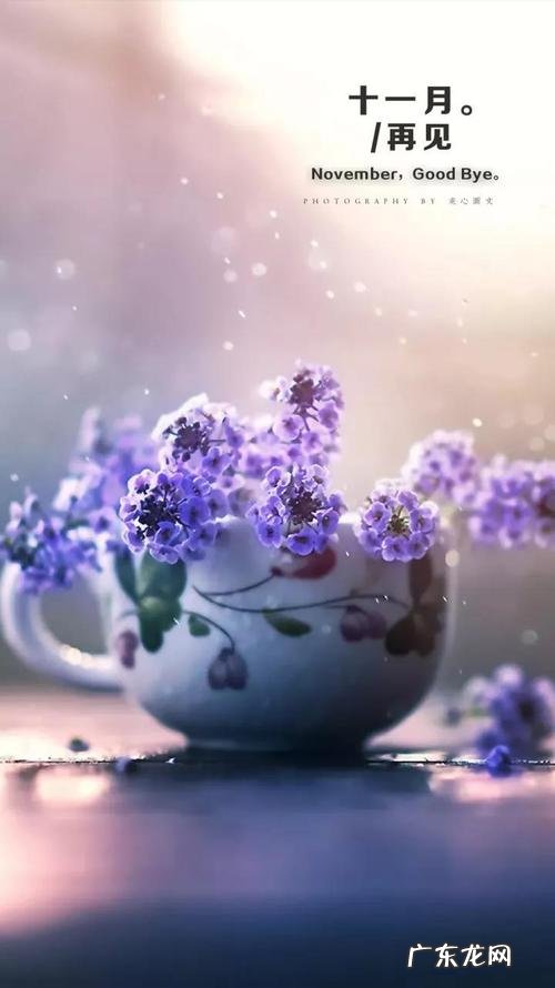 描写十一月的唯美诗句 【抖音文案】十一月的优美诗句