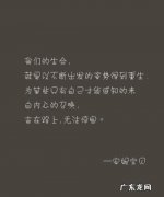 海边照片配文字经典句子 【抖音文案】照片配文字经典句子