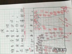 描写青菜的句子有什么 【抖音文案】描写有风的句子有什么