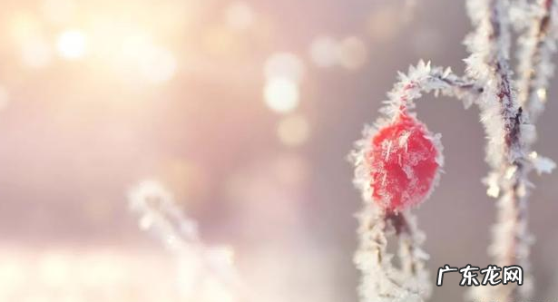 形容冬天唯美经典句子大全 【抖音文案】形容冬天唯美经典句子