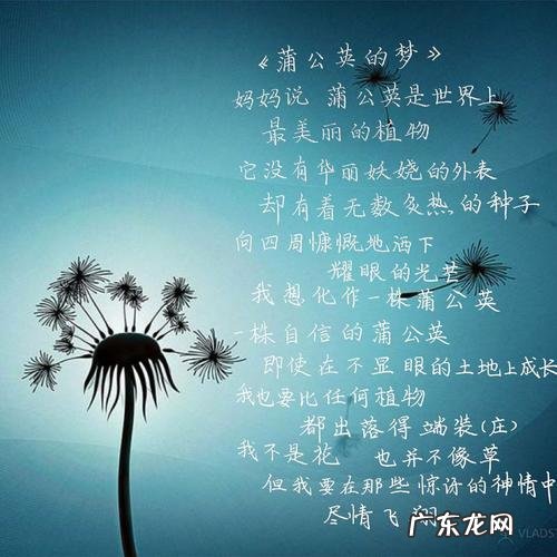 描写蒲公英的唯美句子 【抖音文案】蒲公英句子描写