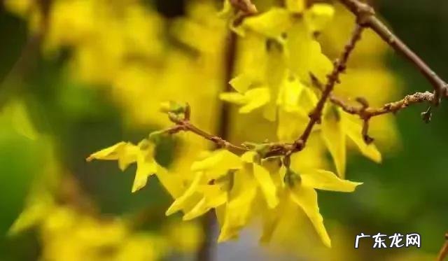 心情不好喝酒的表达句子 【抖音文案】用刮风表达心情不好的句子