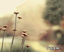 感动作文开头优美句子 【抖音文案】感动优美句子