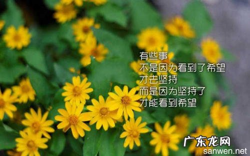 人生哲理语句经典语录 【抖音文案】人生哲理励志的经典语录