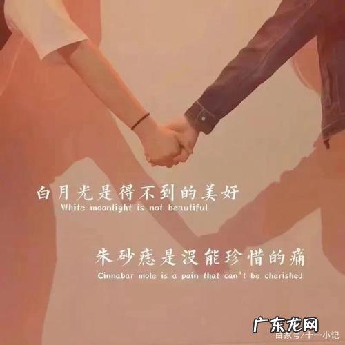 ins风温柔句子 【抖音文案】风也温柔的句子