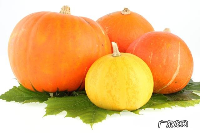 能够养肝排毒的食谱有哪些