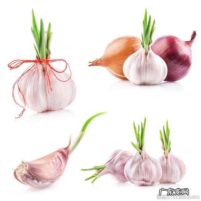 能够养肝排毒的食谱有哪些