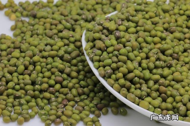 能够养肝排毒的食谱有哪些