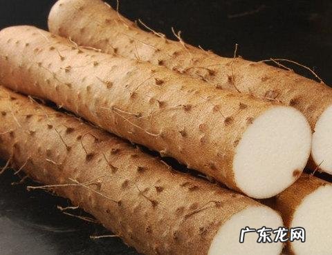 能够养肝排毒的食谱有哪些