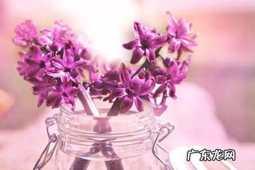 人生哲理感悟的句子 【抖音文案】很现实的人生哲理句子