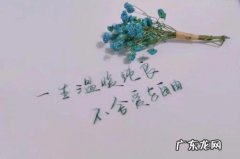 夜深人静一个人的孤独句子 【抖音文案】夜深人静孤独伤感句子配图