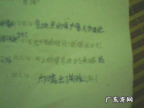 描写母亲眼神温柔的比喻句 【抖音文案】描写眼神锐利的比喻句