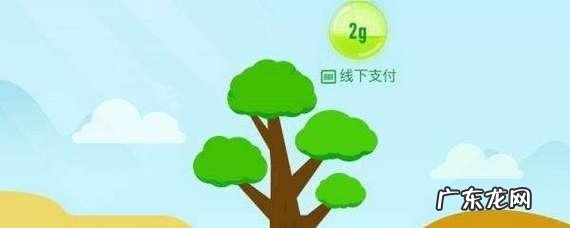 怎么获得蚂蚁能量(蚂蚁森林能量产生规则）