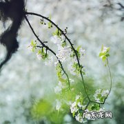 累了就歇歇的哲理句子莫言 【抖音文案】累了就歇歇的哲理句子