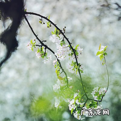 累了就歇歇的哲理句子莫言 【抖音文案】累了就歇歇的哲理句子