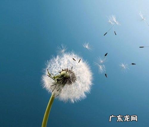 小学生心灵感悟的句子 【抖音文案】心灵感悟的句子100句