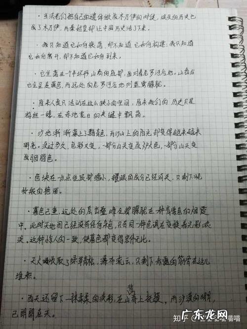【抖音文案】自己我评价的句子10一15个字
