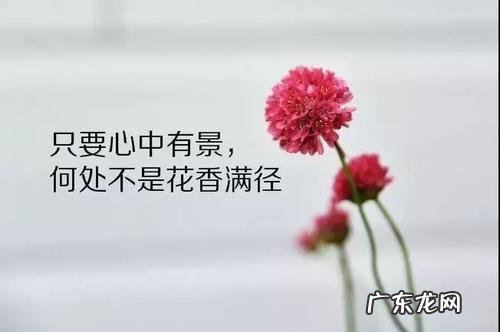 人生感悟的句子 简短 配图 【抖音文案】16张人生感悟图片配图