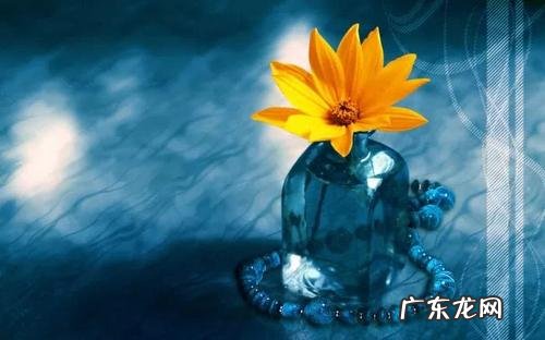 感慨人生的句子伤感的 【抖音文案】人生感慨万千伤感的句子