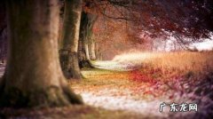 感慨人生的句子伤感的 【抖音文案】人生感慨万千伤感的句子