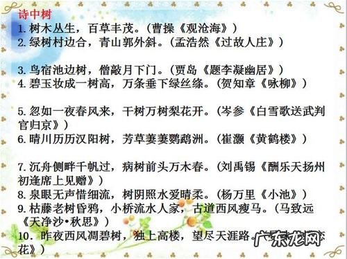 描写乡愁的古诗名句 【抖音文案】描写风的古诗名句